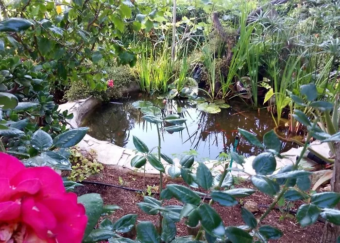 Casa Montse * Cala Galdana (Menorca)