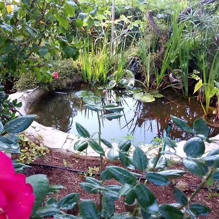 Casa Montse * Cala Galdana (Menorca)